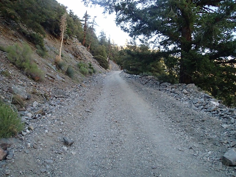 2014 Mt Baldy Cali 028.JPG - Summit Mt San Antonio (Mt Baldy) California